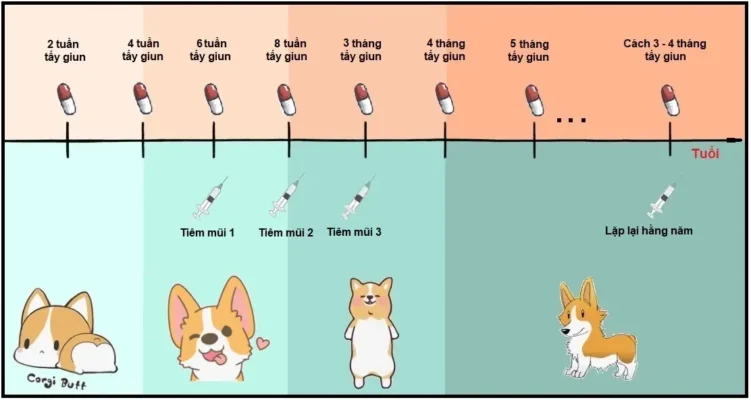 Lịch tiêm chủng cho cún cưng