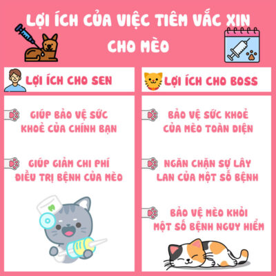 Lợi ích của việc tiêm vắc xin cho mèo 